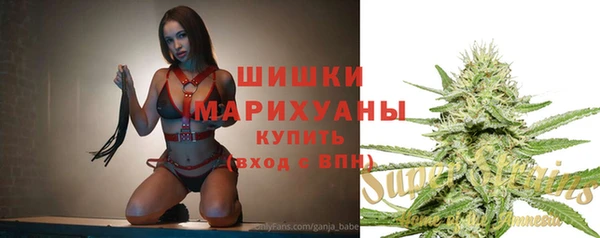сатива Арсеньев