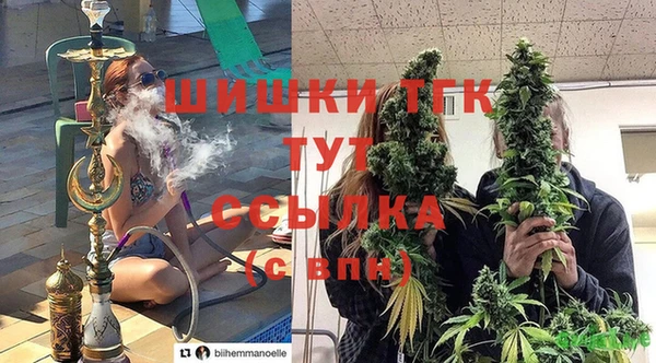 дурь Аркадак