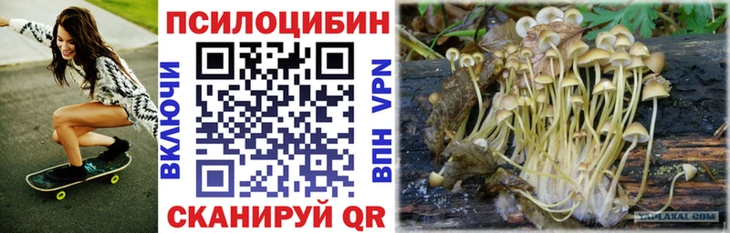 Псилоцибиновые грибы Cubensis  где купить наркоту  Нязепетровск 